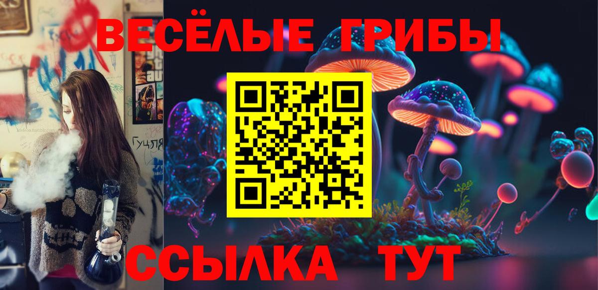 Псилоцибиновые грибы мицелий Бузулук